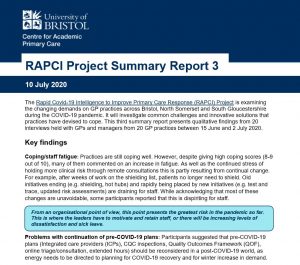 RAPCI summary report 3
