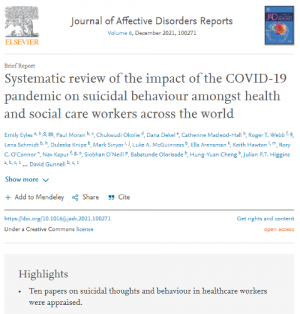 Screen shot of the systematic review paper