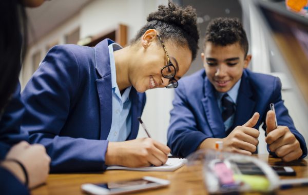 Two secondary school pupils in a class