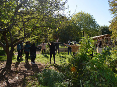 Group of adults practicing Tai Chi outdoors
